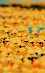 ducky 3