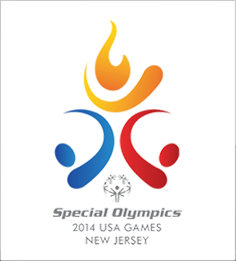2014 National Games logo